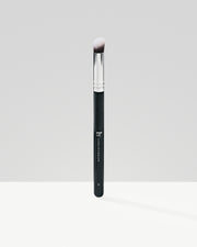 LW Brush No. 10
