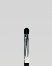 The Mini Detailed brush